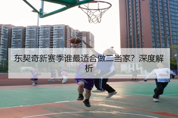 东契奇新赛季谁最适合做二当家？深度解析